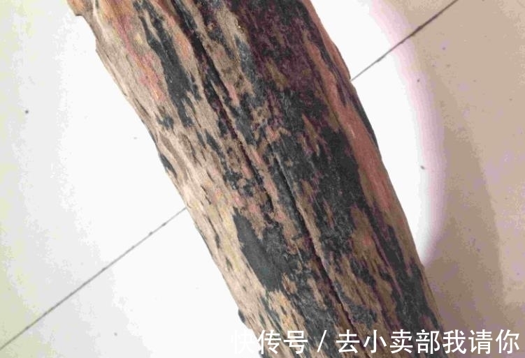 桃木&雷击木是什么东西,为何能卖1000000元,真的值吗?