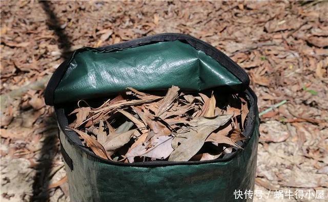 养花|养花旧土不要扔,处理一下比新土还好用