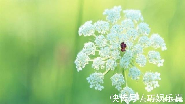 天仙子&北宋词人醉后睡醒,写下一首伤春词,其中七字惊艳世人