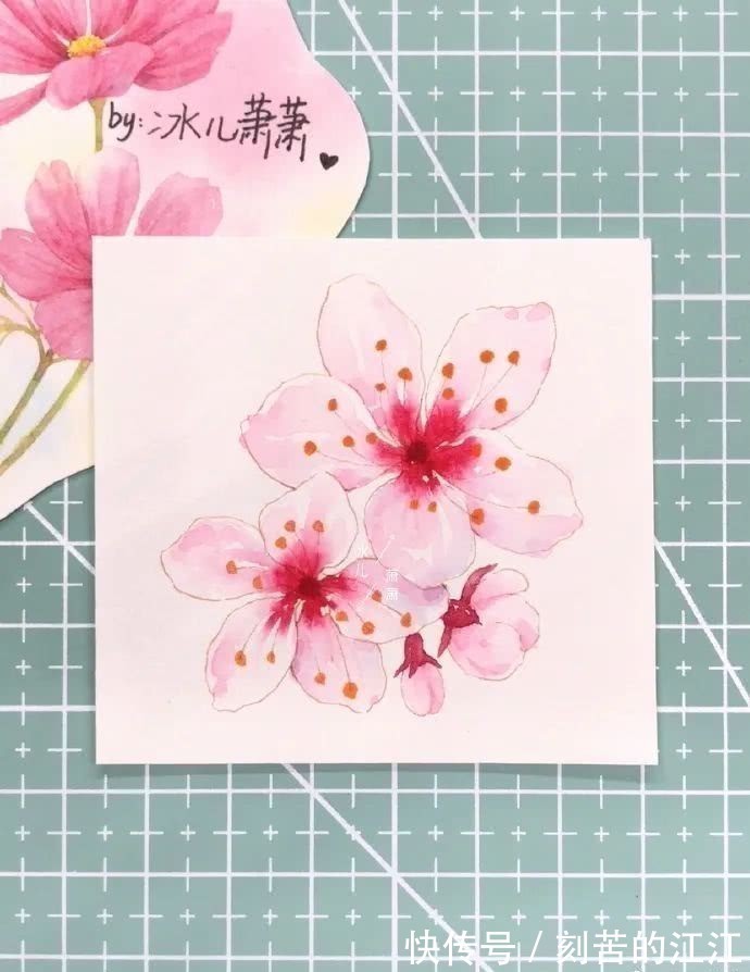 花瓣@水彩这样画,也太美了吧!居然把花瓣画出透明的感觉,看完忍不住保存!