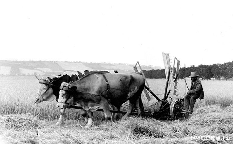 老年|珍贵老照片1904年德国乡镇风光和民生百态,是你向往的生活吗