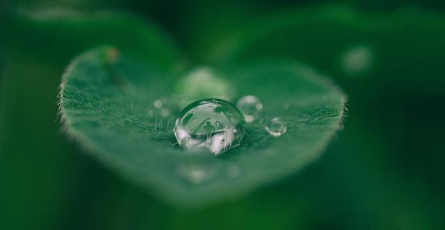 明哲保身&越是深藏不露的人,往往懂得这三条天规,懂一个,就很好!