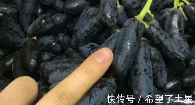 香味|院子里种点果树试试吧,寓意好,果肉软糯奶香味,甜而不腻!