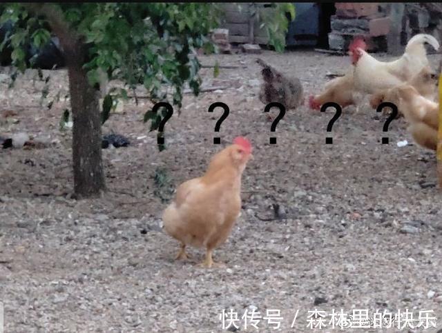 |男朋友:我太难了 冷段子1381 & 去年今日1071