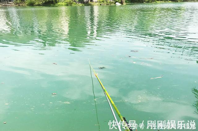 政府|政府出资修钓台,提供垂钓好去处!享受的同时莫忘自觉,方能长久