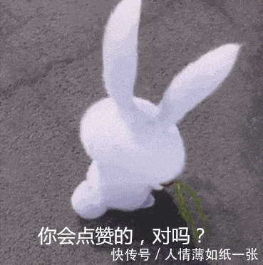 神“造”般的植物奇景,仿佛画作精品,小编已深深着迷!