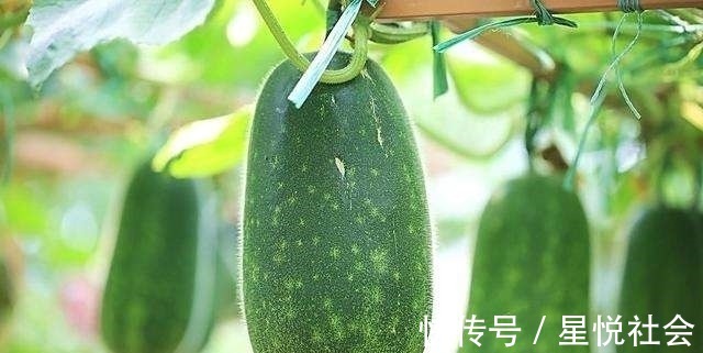 包菜|女性不想皱纹爬上脸,常吃3种食物,滋养卵巢,延缓衰老,显年轻