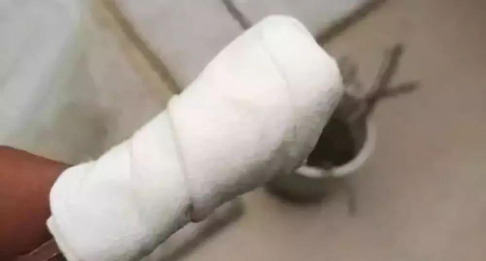 拿它一捂,长寿蟹爪兰嗖嗖冒花苞,多肉呼呼胖三圈