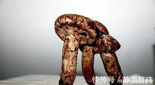 常吃|想长寿得会吃,常吃以下3种食物,排毒消脂,预防便秘,好吃不贵