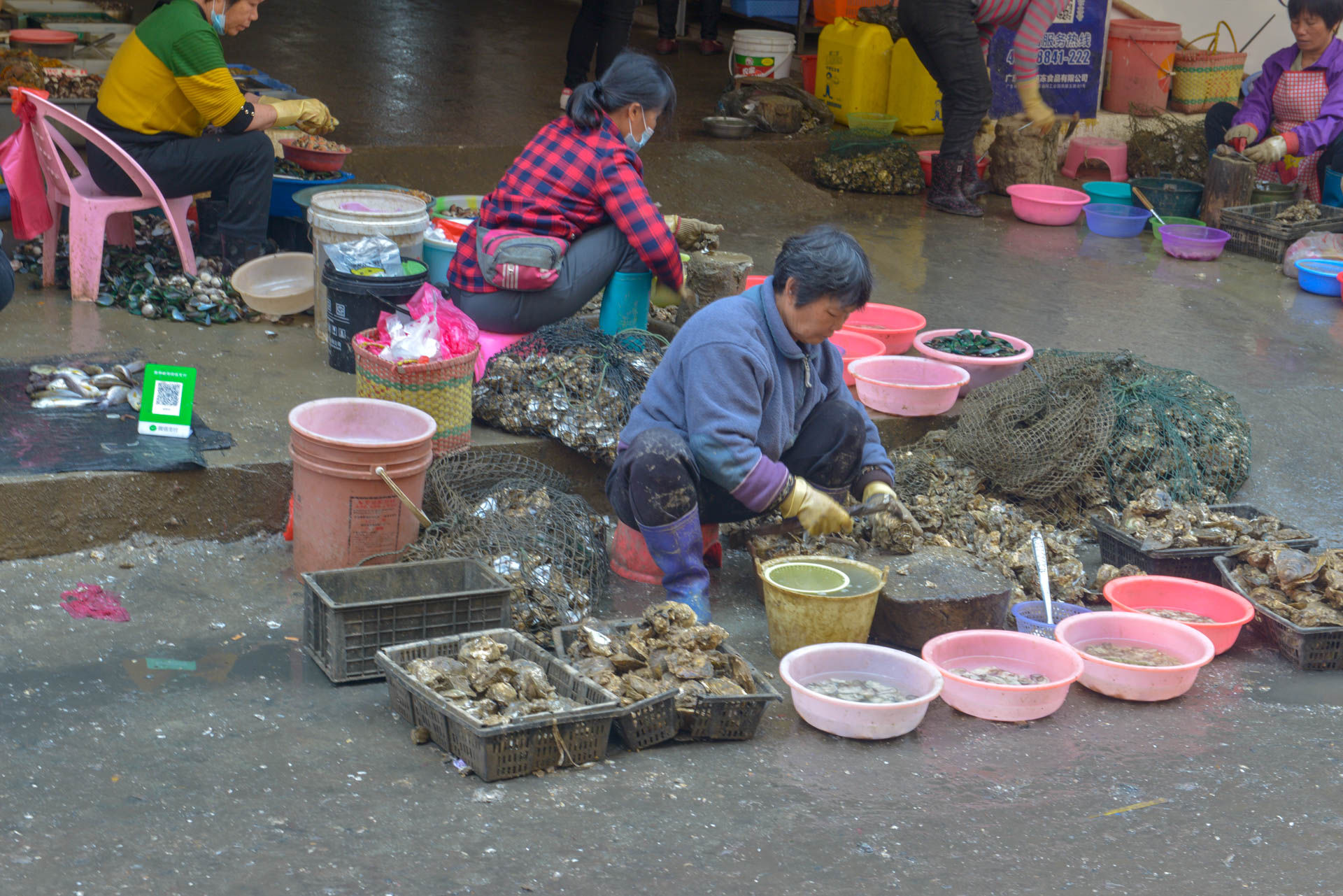 中年|温暖的旅行 自驾第十八季 喝早茶 买海鲜