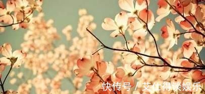 元稹|白居易一首词,是中国朦胧诗鼻祖,竟然引来那么多人模仿!