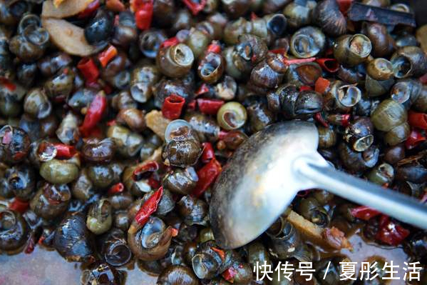 郫县豆瓣酱|夏季田螺正当时，洗田螺别只会放盐，多加2味料，吐沙快速又彻底