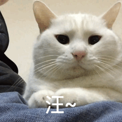 |搞笑图集:大学信息采集的黑发要求,逼疯校门口的洗发师