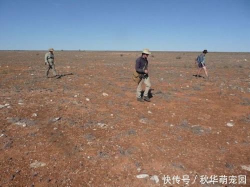 火星 玉树陨石坠地那一刻,有一群人已经挎上背包,开启他们寻宝之旅