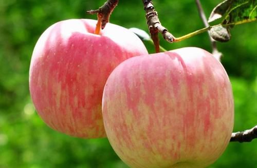 青枣|女性不想变黄脸婆，学会多吃的好食物，排毒润肤，抗衰老，气色好