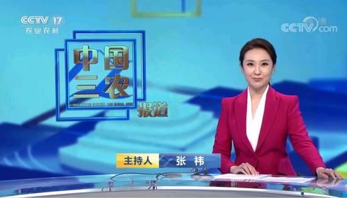 又一地方台女主持人张祎加盟央视，成《中国三农报道》首位女主播