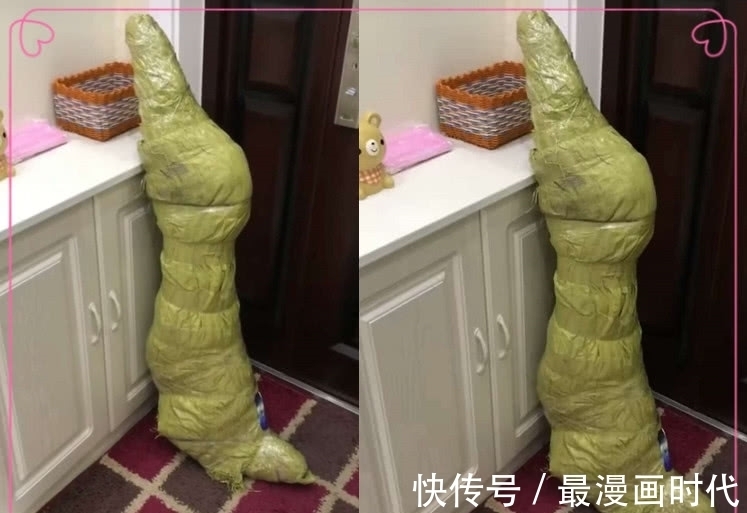 包装|快递包装有多奇葩？造型独特不敢拆，网友：怎么感觉还有心跳呢！