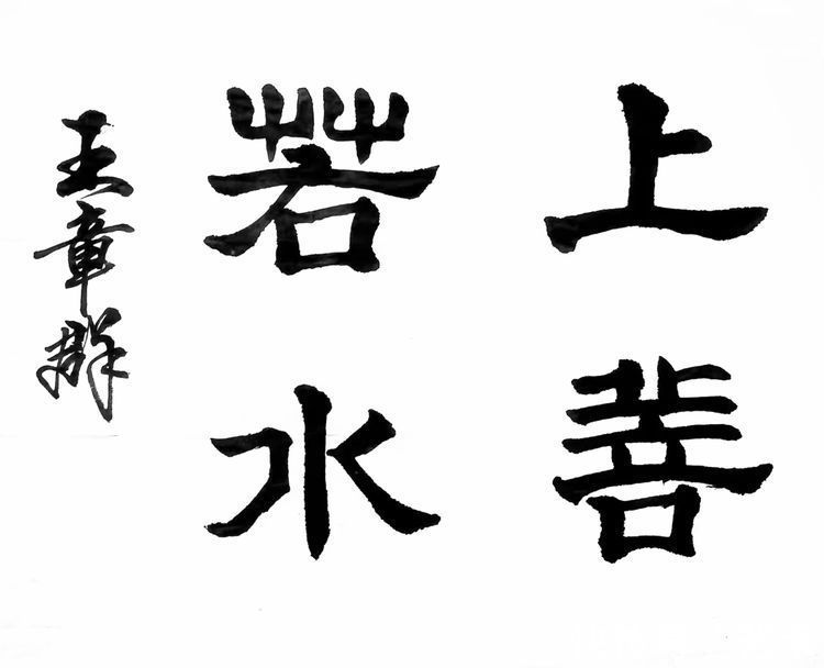 河北省书协#书法家王章群——行云流水,力透纸背