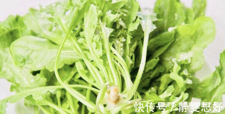 治病|女性不想掉头发，多食此“治病菜”，防妇科病，防宫寒，滋润肌肤