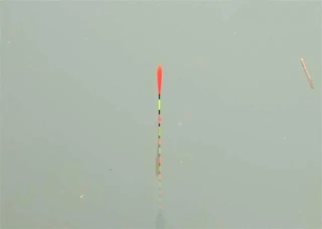 想要清晰的顿口,吃铅是要轻一点还是大一点