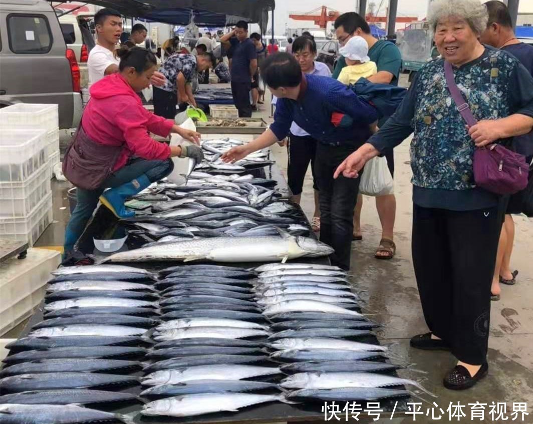  想吃鱼，聪明人专挑此5种，目前为止没办法人工养殖，放心吃吧