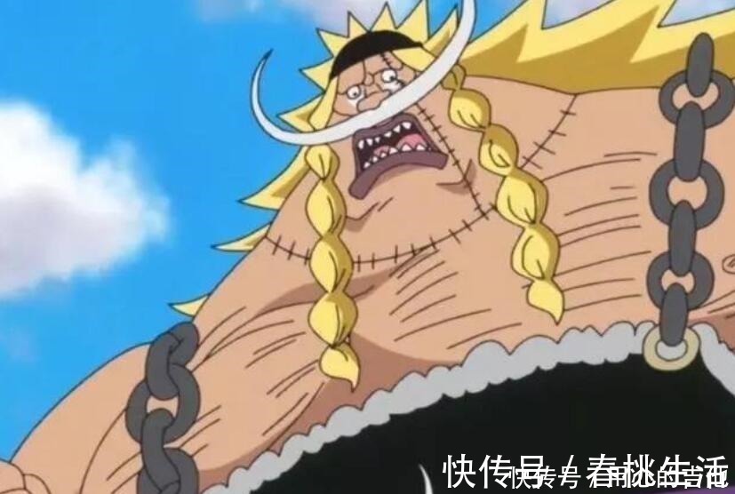 吊瓶|海贼王白胡子不做这三件事，顶上战争轻松救出艾斯！
