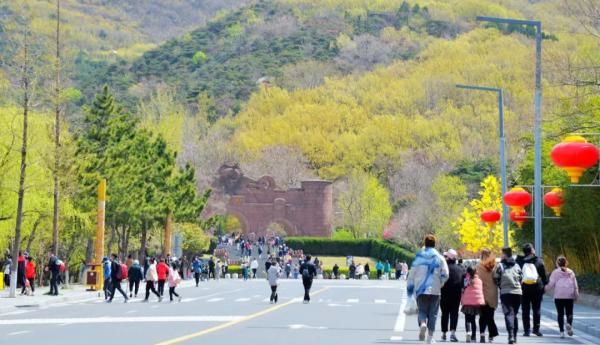 7天！18.5亿元、3.3亿元...