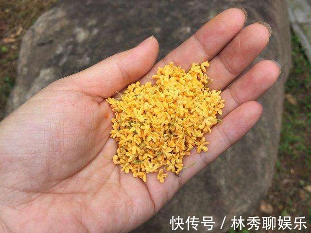 养血|晚上失眠多梦怎么办3碗简单还实用的安神汤教会你,养血还安神