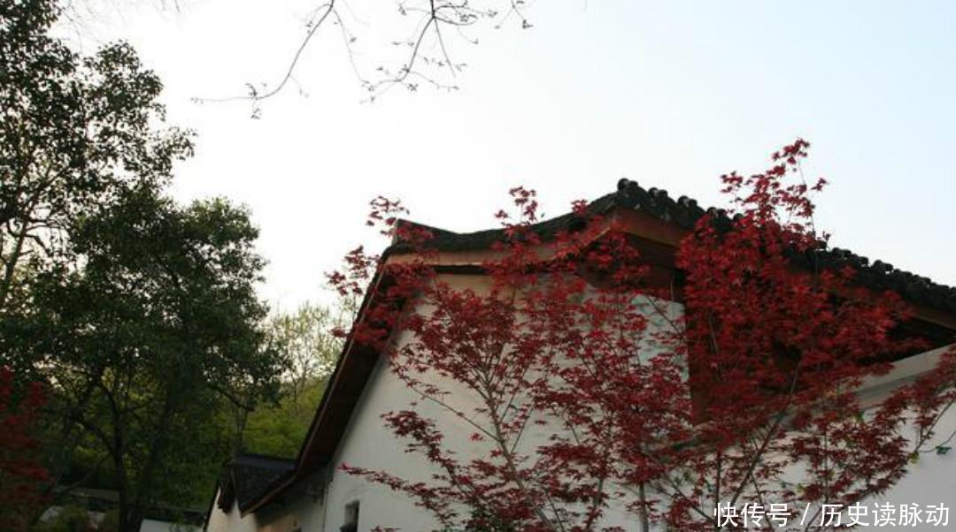 清朝大诗人袁枚最美的一首诗,只有短短20个字,写出了最美的春天