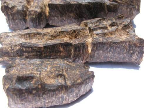  避开|挑选沉香一定要避开这些雷区