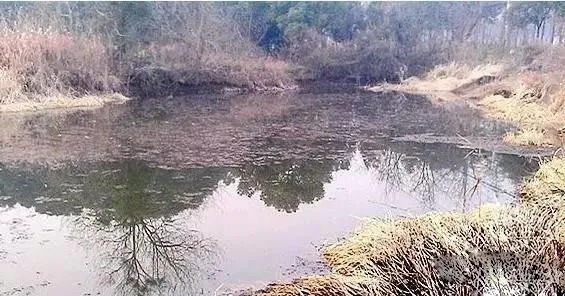 冬天钓鱼不一定非要选深水,其实这三个浅水区的钓点,它也是好位置