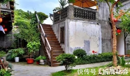 绿植|花卉、绿植、盆景、蔬菜，如果有自己的院子你更愿意养哪一种？