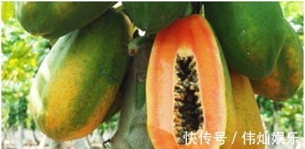 养肝护肤|肝脏不好怎么调理夏天多吃4种水果,养肝护肤,好吃不贵