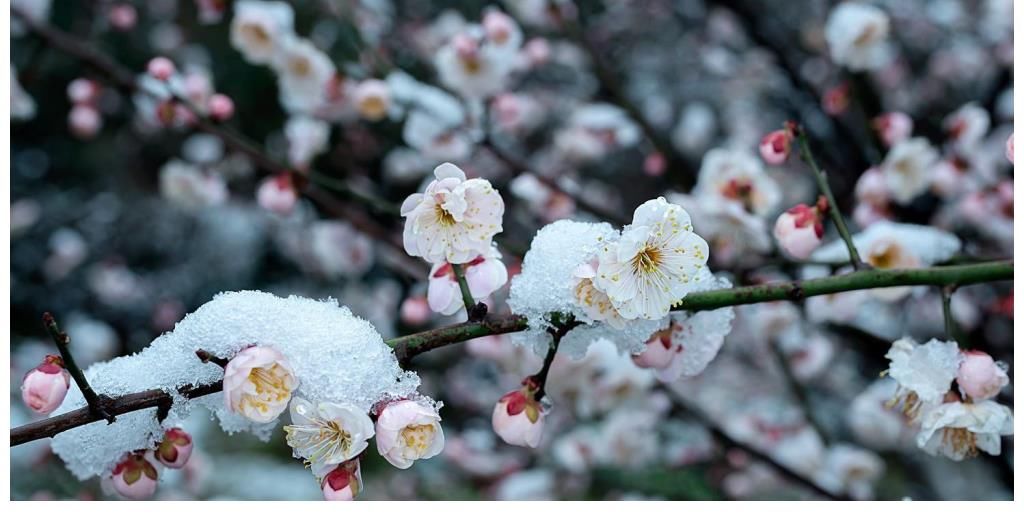 题诗后&大雪时节，寒夜漫漫，品读冬日之诗，感悟贾岛凄清孤独的心境