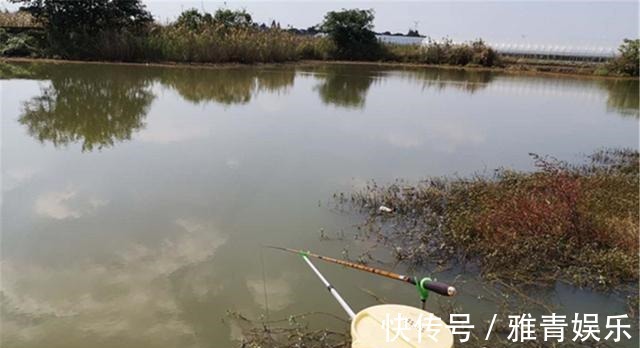 钓鱼|深秋钓鲫鱼,4钓4不钓,只要方法得当,半斤以上大板鲫连竿上