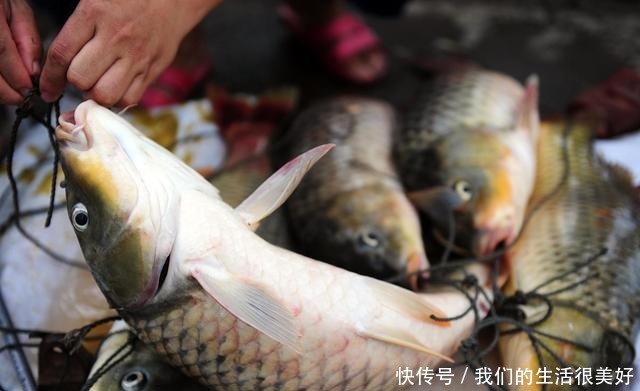 菜市场最“坑”的3种鱼，大多数人经常买，鱼贩子扔掉也不吃