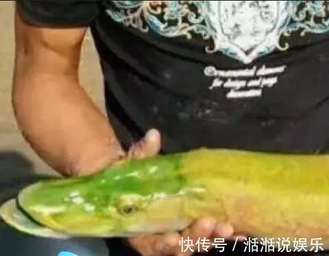 鳄雀鳝|男子钓鱼钓到绿色奇葩怪鱼, 细看鱼嘴后放生！