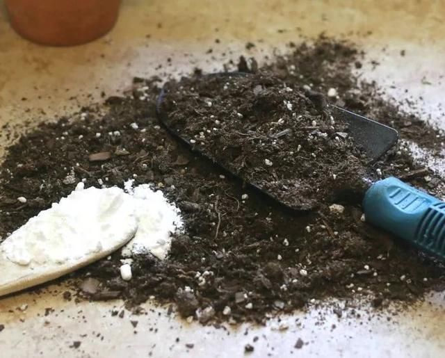 园艺工具|常用的一些生活用品,变成园艺工具,用来养花太方便了