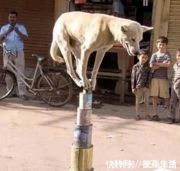 |幽默笑话：下班回家的路上，看见一个女生哭得梨花带雨……