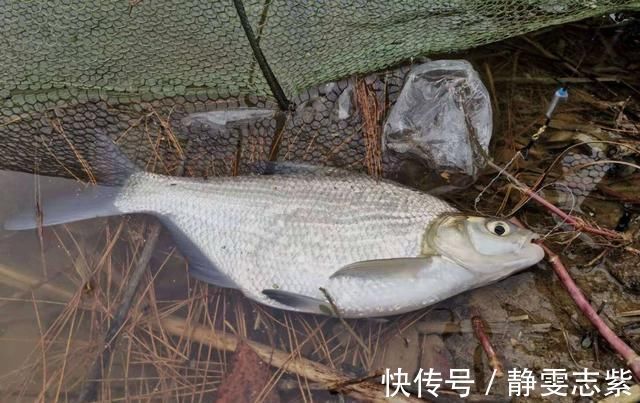 钓鱼“黑”午时不是鱼儿难钓获,而是你方法不对路