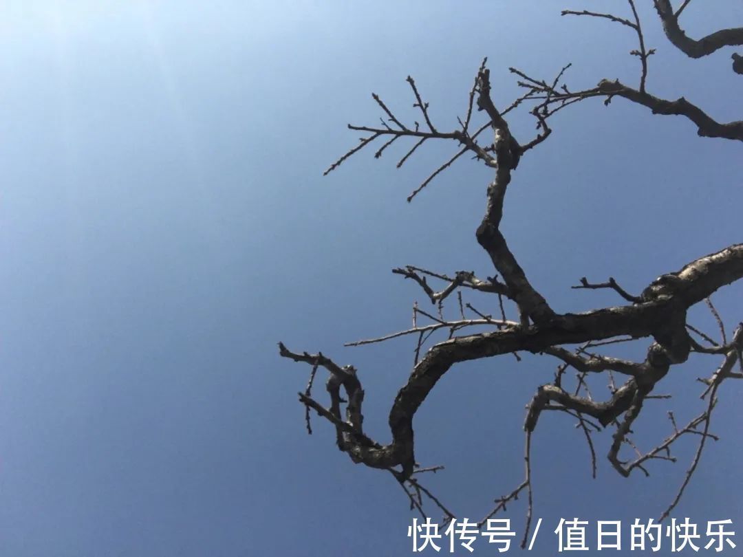 政治家!曹操最脍炙人口的10首诗,读来慷慨激昂,方显英雄本色!