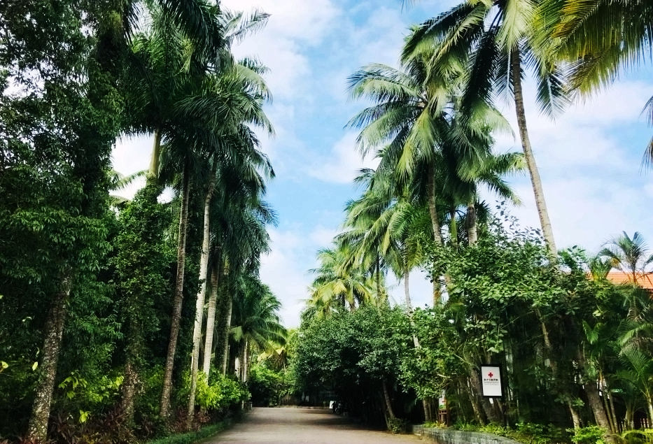 热带经济|美丽的植物园，独特的植物景观——游兴隆热带植物园