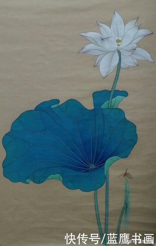 赏荷|杨颢作品:荷月赏荷