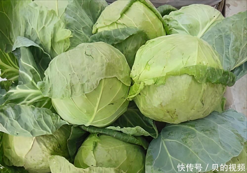 补充|冬天之后,不妨多吃3种食物,补充营养,身体棒棒哒!