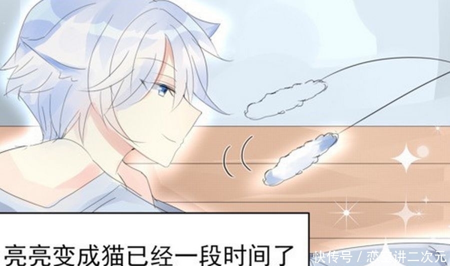 对方|轻松一刻:诸葛亮变成“猫咪”后,赵云整天心事重重,怀念对方人类的模样