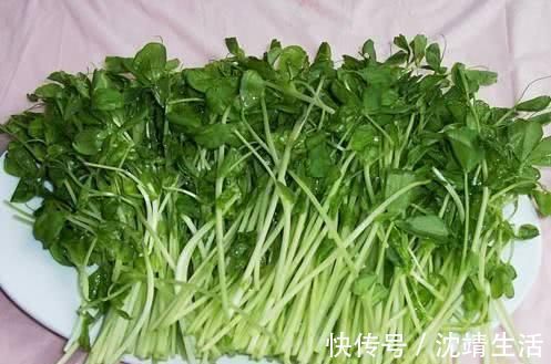 菠菜|便秘拉不出很难受?常吃6种食物,促进肠道蠕动,排便变轻松