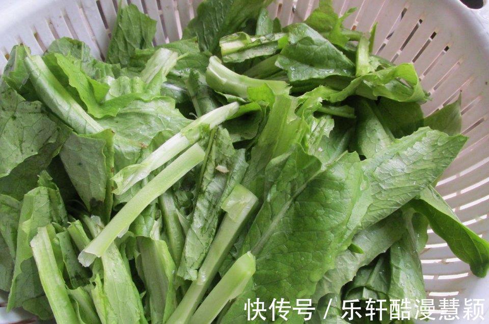 花生油|秋后易上火多吃这个菜，清燥润肺睡得香，好吃去火特下饭，真简单