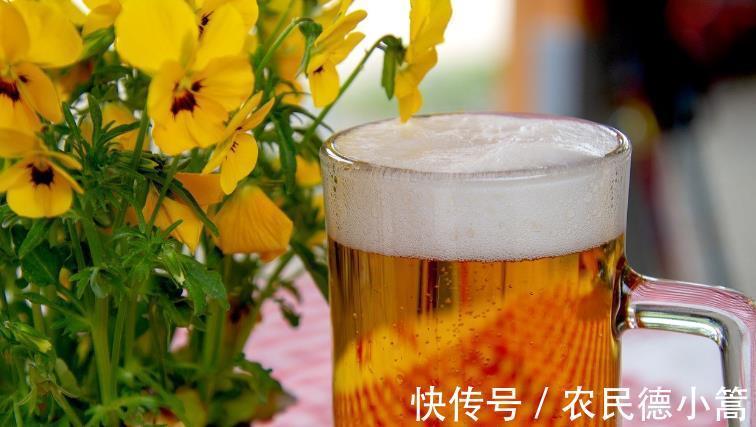 喷洒|兰花叶片上有灰尘，怎么清洗比较好？内行人：方法还真不少