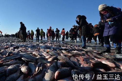 湖泊|东北查干湖鱼越来越多，当地人为何担忧导游说出原因