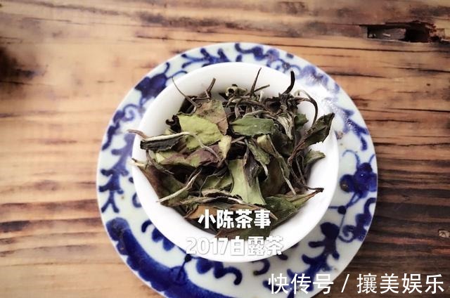 秋寿眉|对于白茶新手来说，如何选好一款适合的入门茶，牢记这四点指标！